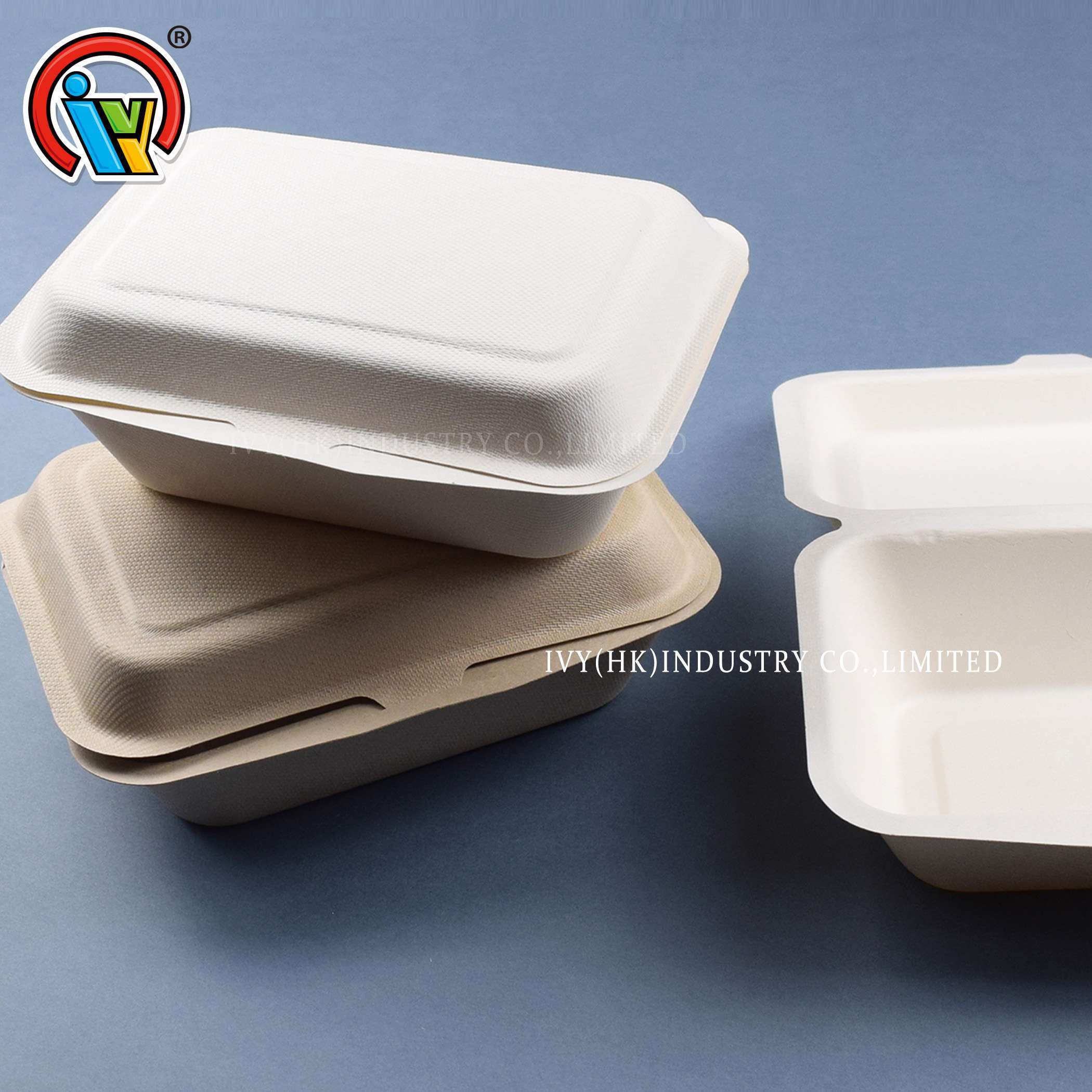ขายส่งกล่องอาหารกลางวัน Takeaway เป็นมิตรกับสิ่งแวดล้อมย่อยสลายได้